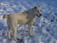 /album/fotogaleria/mix-145-jpg/